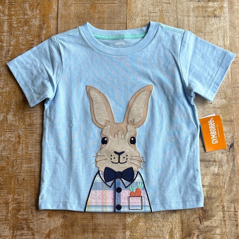 NWT Gymboree Boys Bunny Tee 2t